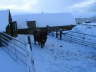 Its cold out here and thats a bale you owe me!