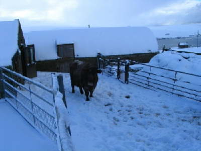 Its cold out here and thats a bale you owe me!