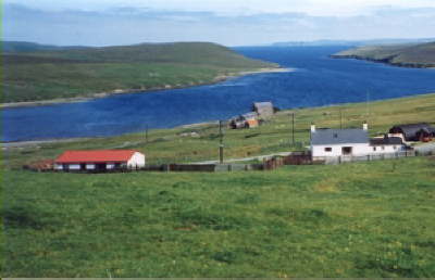 Typical bright and breezy day.